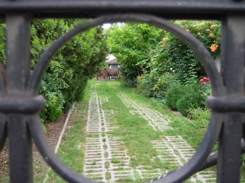 Katlannapló 2. – Rocksztárok és Lassúság