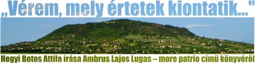 „Vérem, mely értetek kiontatik…” - (Ambrus Lajos: Lugas – more patrio)