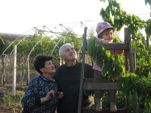 Fent a magasban, a cseresznyék között