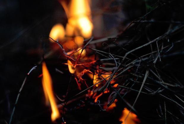 Forrás: pixabay.com
