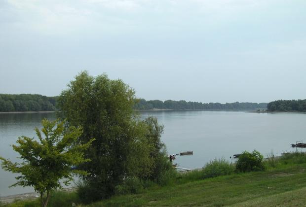 A Duna Mohácsnál (Forrás: Wikipédia)