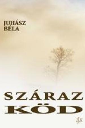 Száraz köd