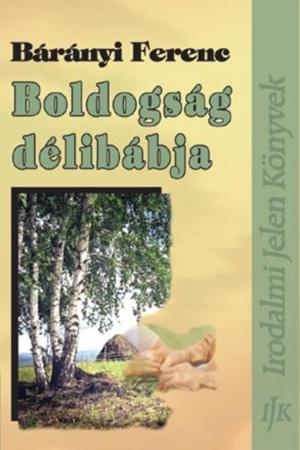Bárányi Ferenc: Boldogság délibábja