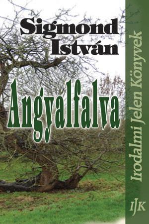 Sigmond István: Angyalfalva