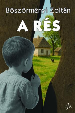 Böszörményi Zoltán: A rés
